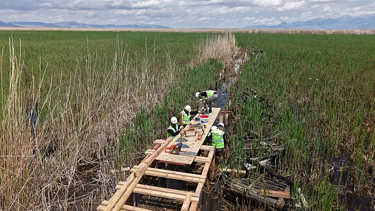 Kuş cenneti Sultan Sazlığı'na 'Büyükşehir' eli