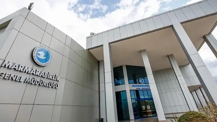 Marmarabirlik, 3.2 Milyar TL'lik zeytin ürünü aldı