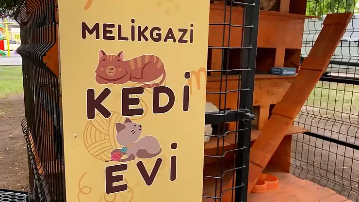 MELİKGAZİ KEDİ EVLERİ