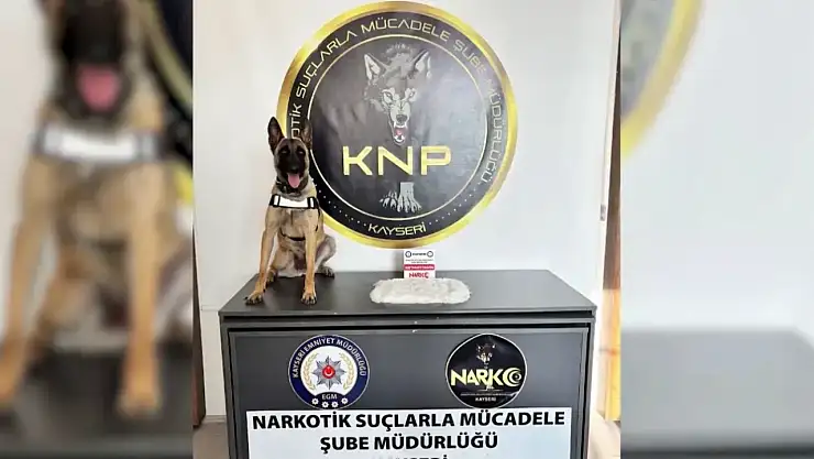 Narkotik operasyonda 2 gözaltı