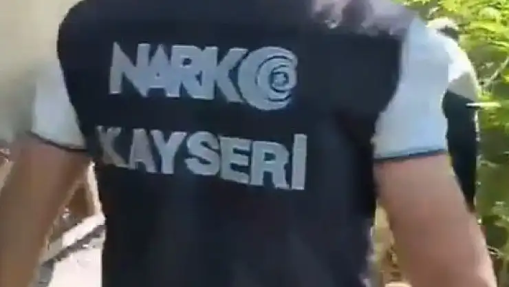 Narkotik operasyonu: 81 kök ve 15 gram narkotik madde ele geçirildi