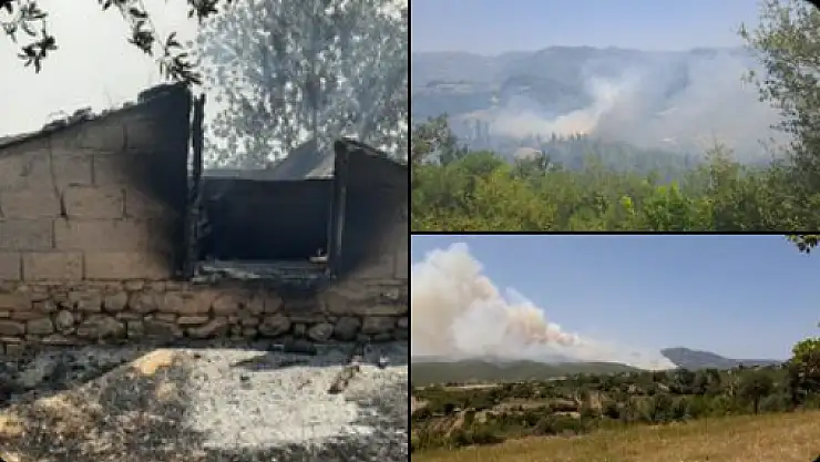 Osmaniye'de orman yangını