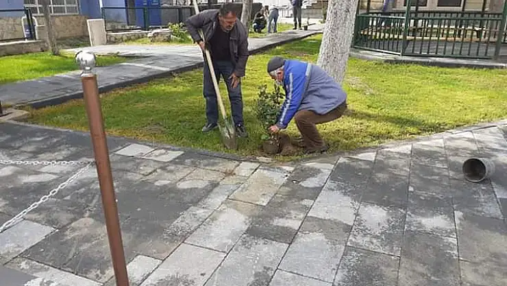 Park bahçe çalışmaları