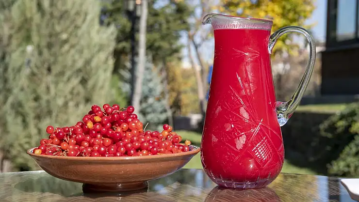 SAĞLIK İÇİN GİLABURU TAVSİYESİ