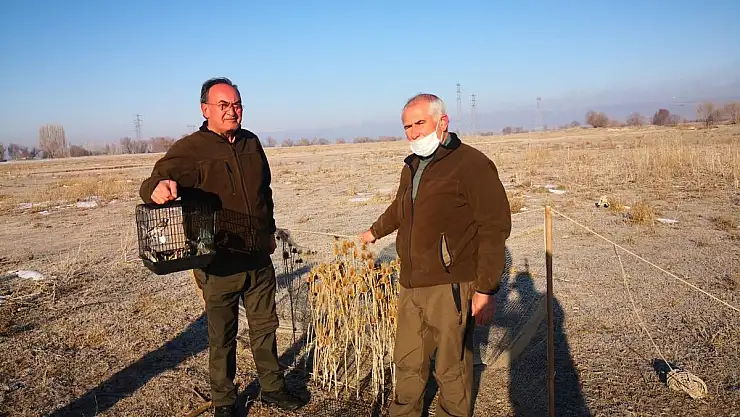 Saka avlayan kişi yakalandı