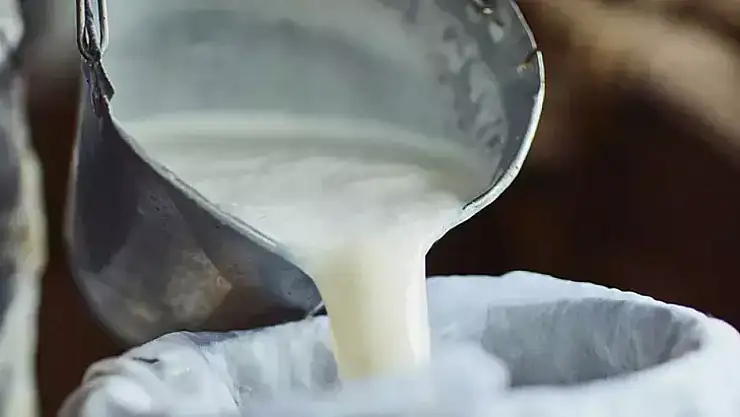 Sıcak havada açık süt uyarısı: Kaynatmadan tüketmek riskli