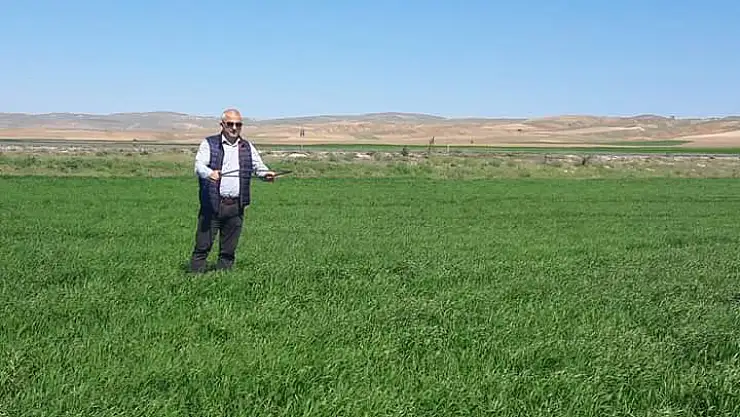 Süne ile mücadele başladı