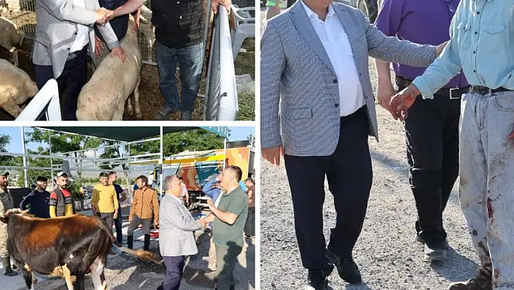 TALAS KURBAN PAZARI