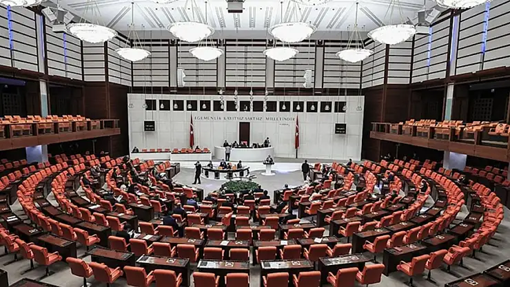 TBMM Genel Kurulu'nda Kadına Şiddet Araştırma Komisyonu kuruluyor