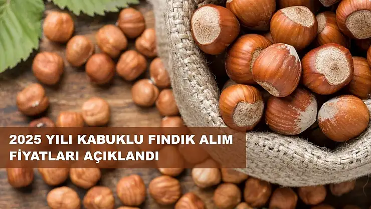 TMO 2025 Fındık Alım Fiyatlarını açıkladı
