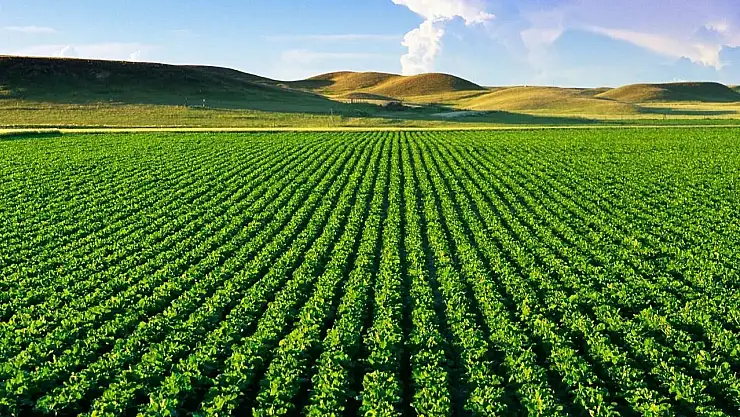Türkiye, 2023'te Avrupa'nın tarım lideri