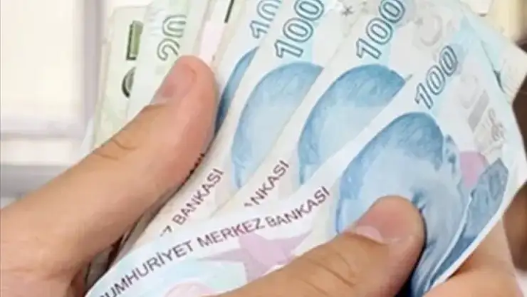 Ulusal vefa programı'na 3,8 milyar lira ayrıldı