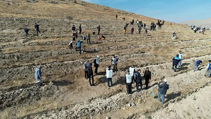 Yahyalı'da yeşil vatan seferberliği