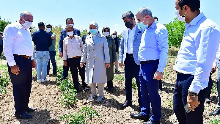 YEŞİLYURT BELEDİYESİ ÜCRETSİZ FİDE DAĞITTI