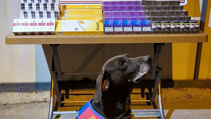 Yol Kontrolünde 750 paket kaçak sigara yakalandı