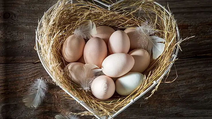 Yumurta ve Kalp Sağlığı: ölçülü tüketim önemli