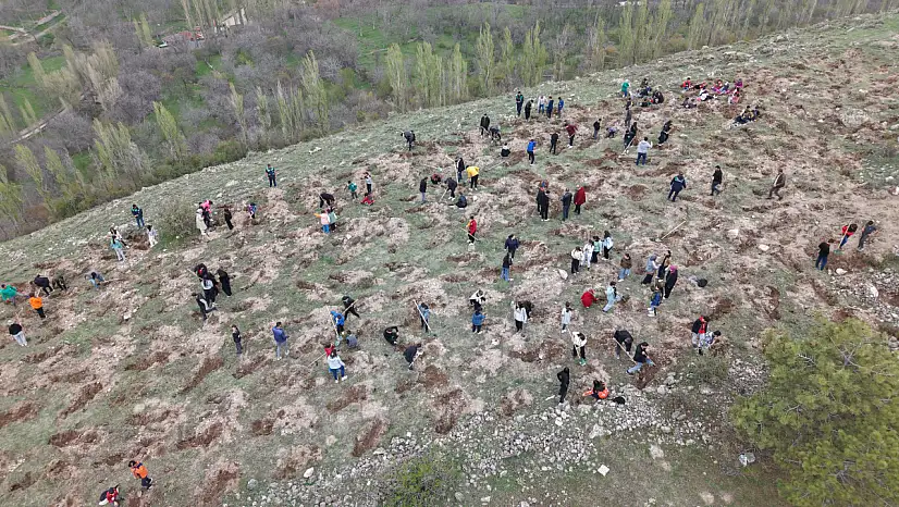Büyükşehir'den Gesi'de ağaçlandırma şenliği