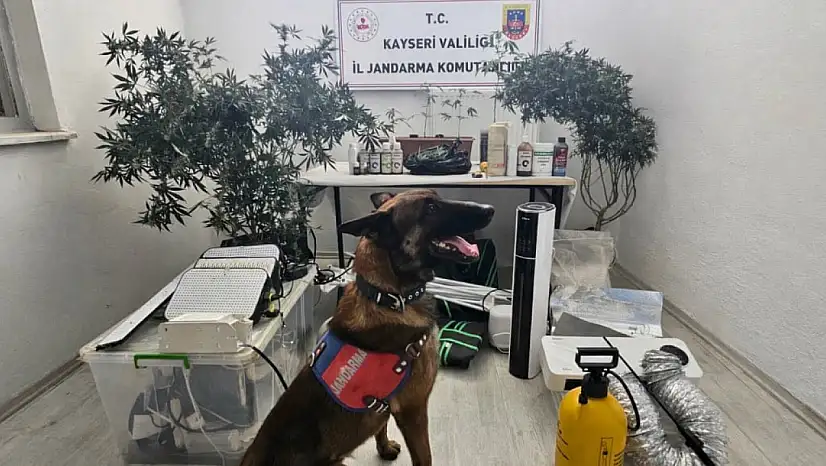 Kayseri'de yasaklı madde operasyonu