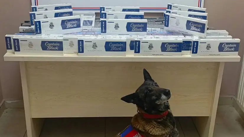 Kayseri'de Yol Kontrolünde 830 Paket Kaçak Sigara Ele Geçirildi