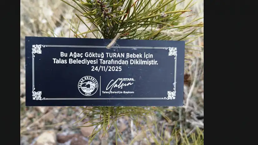 Talas'ta 2025'de doğan 335 bebek için fidan dikildi