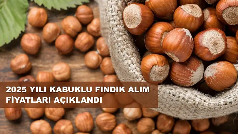 TMO 2025 Fındık Alım Fiyatlarını açıkladı
