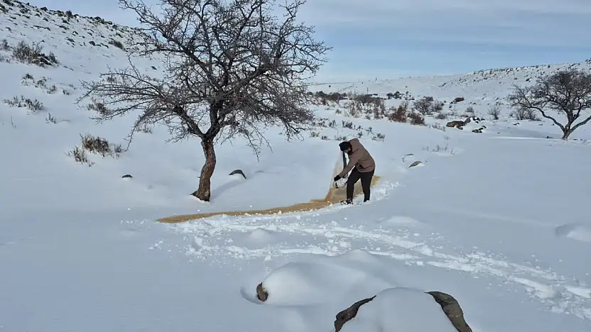Bünyan'da sokak hayvanlarına yem desteği