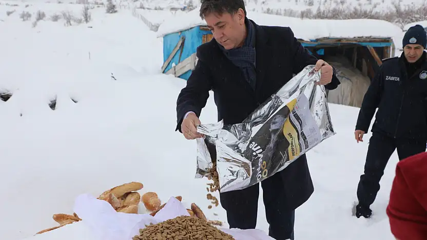 Develi'de sokak hayvanlarına destek