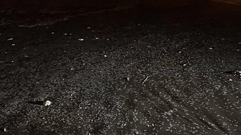 İncesu'da sel: bazı ev ve işyerleri zarar gördü