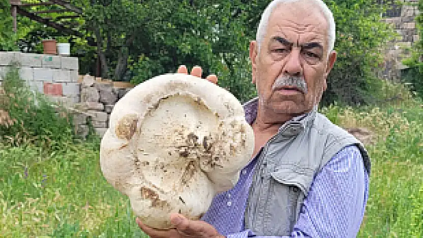 Kayseri'de 3 kilo 400 gram mantar buldu