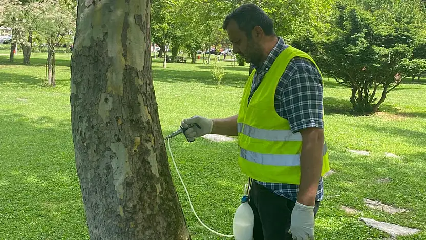 Kayseri'de ağaçlara çevre dostu arborjet uygulaması
