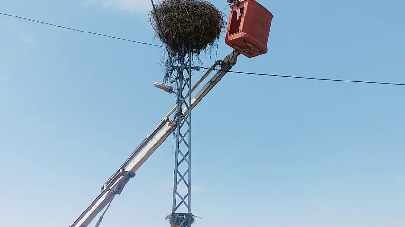 Kayseri'de Elektrik Direğinde Mahsur Kalan Leylek Kurtarıldı
