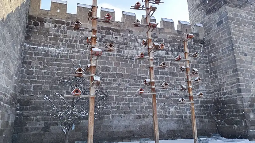 Kayseri'de güvercinler, dondurucu soğukta ahşap yuvalar ile korunuyor
