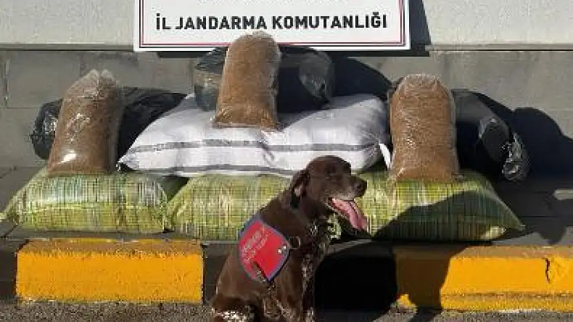 Kayseri'de jandarmadan Ağustos ayında huzur operasyonları