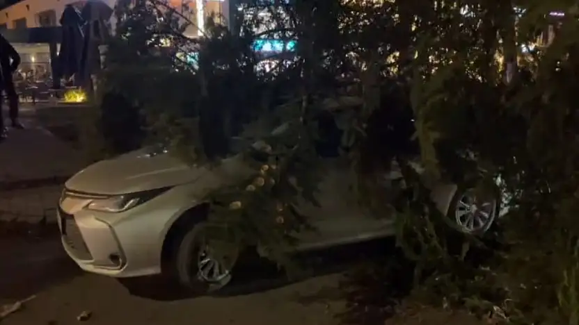 Kayseri'de şiddetli rüzgar ağacı otomobilin üzerine devirdi