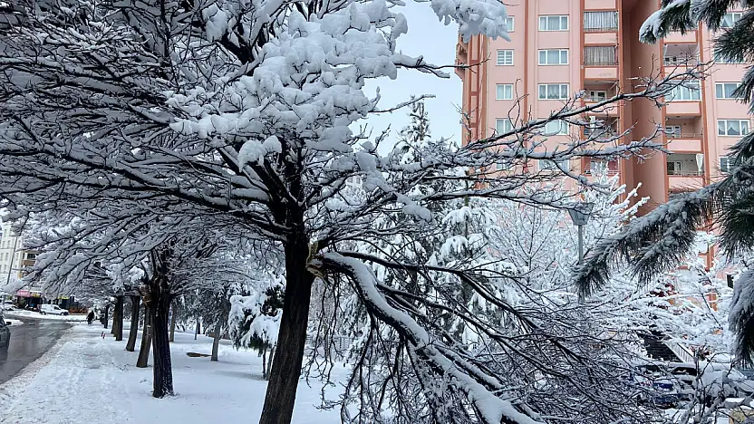 Kayseri TOKİ'de kar sonrası ağaçlar çöktü