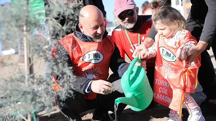 Kocasinan'da gilaburu ağaçları toprakla buluştu