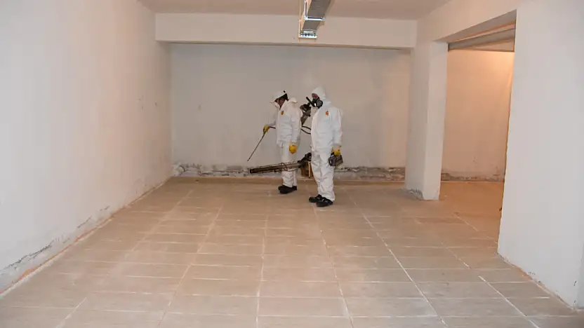 Kocasinan'da haşereyle mücadele 12 ay sürüyor