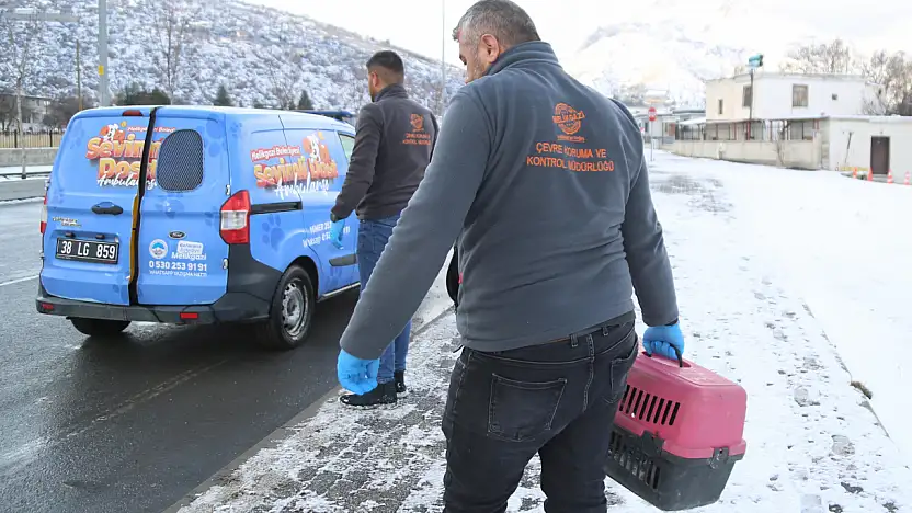 Sevimli Dost Ambulansı 4 Bin 300 Cana Umut Oldu