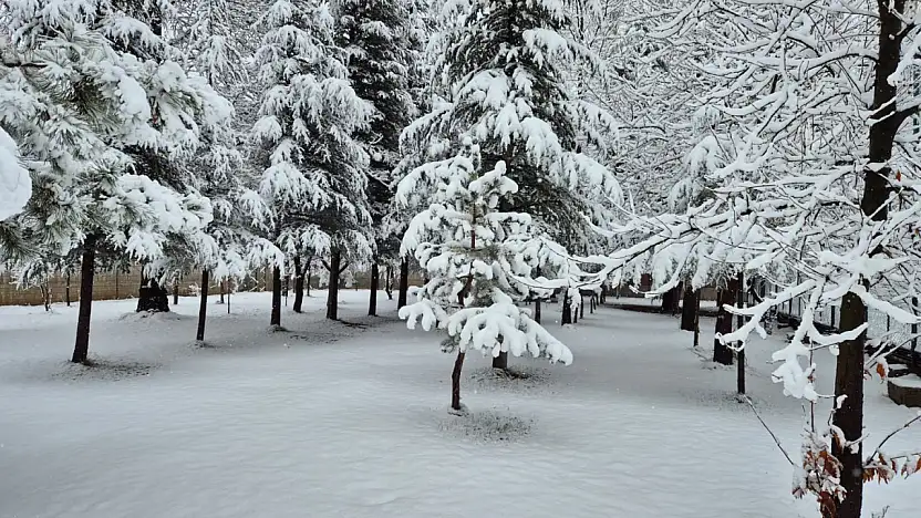 Yahyalı'da kar yağışı etkili oldu