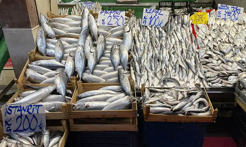 '40 Yıllık Balıkçı: Denizden hamsi kaynıyor, En ucuza Kayseri satıyor'