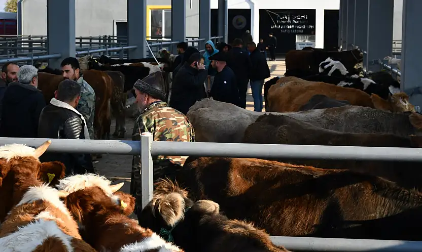 Bağlamış: Kayseri'yi hayvancılıkta merkez yapacağız
