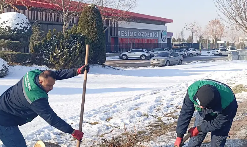 Büyükşehir'den Kışta Ağaç Güvenliği Seferberliği