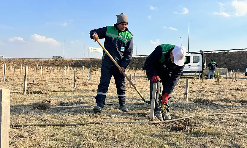 Büyükşehir'den yeşil Kayseri'ye 3 bin 200 fidan