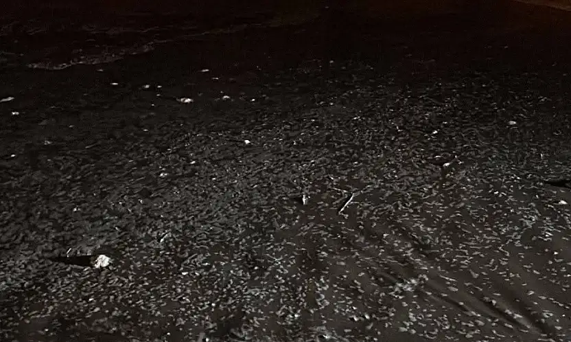 İncesu'da sel: bazı ev ve işyerleri zarar gördü