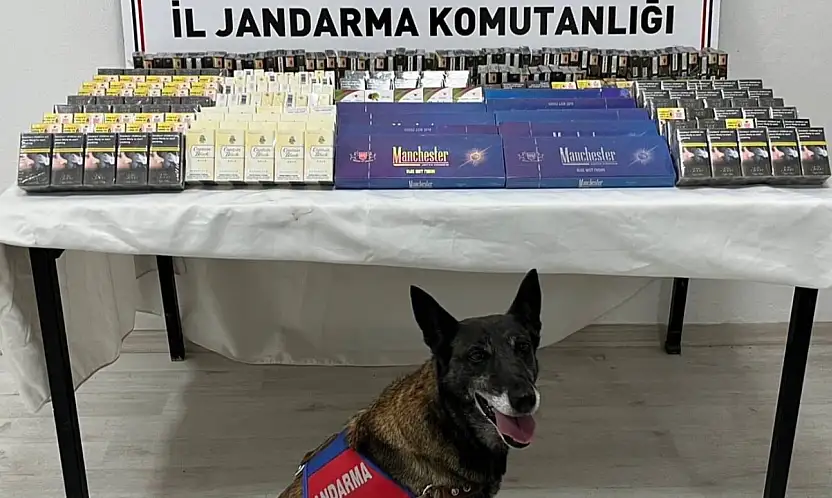 Kayseri'de 500 paket kaçak sigara yakalandı