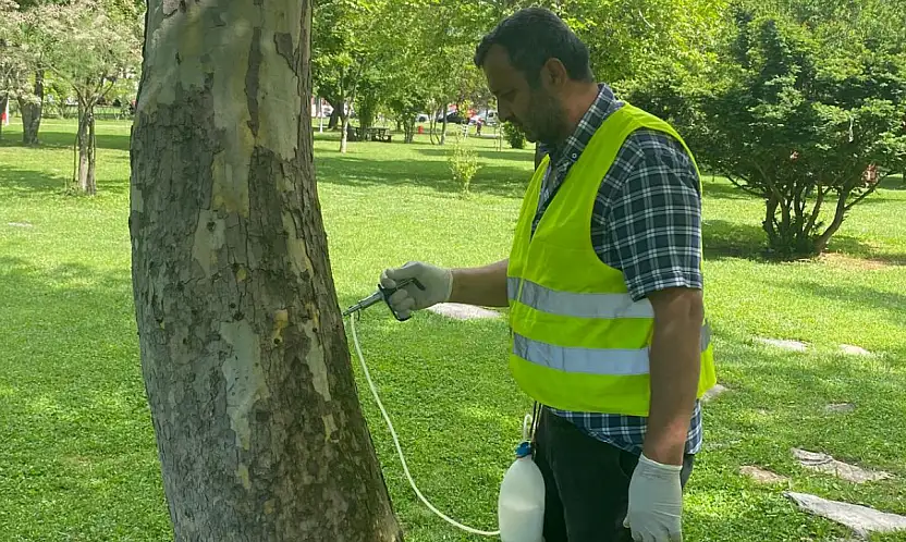 Kayseri'de ağaçlara çevre dostu arborjet uygulaması