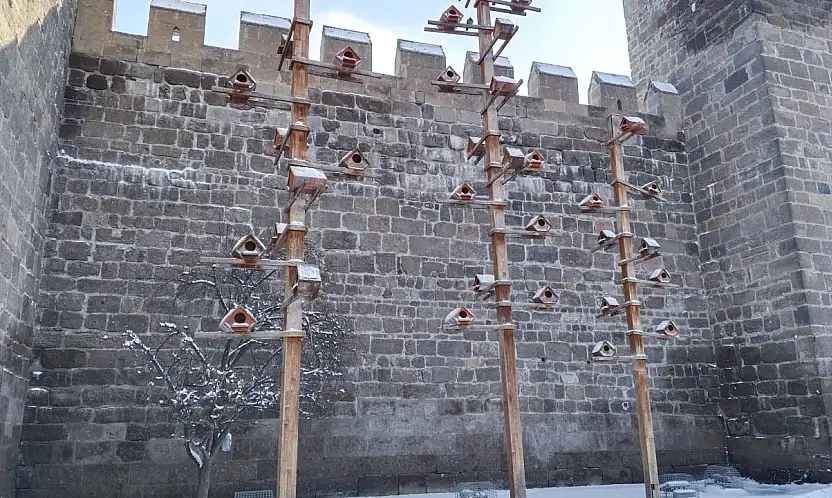 Kayseri'de güvercinler, dondurucu soğukta ahşap yuvalar ile korunuyor