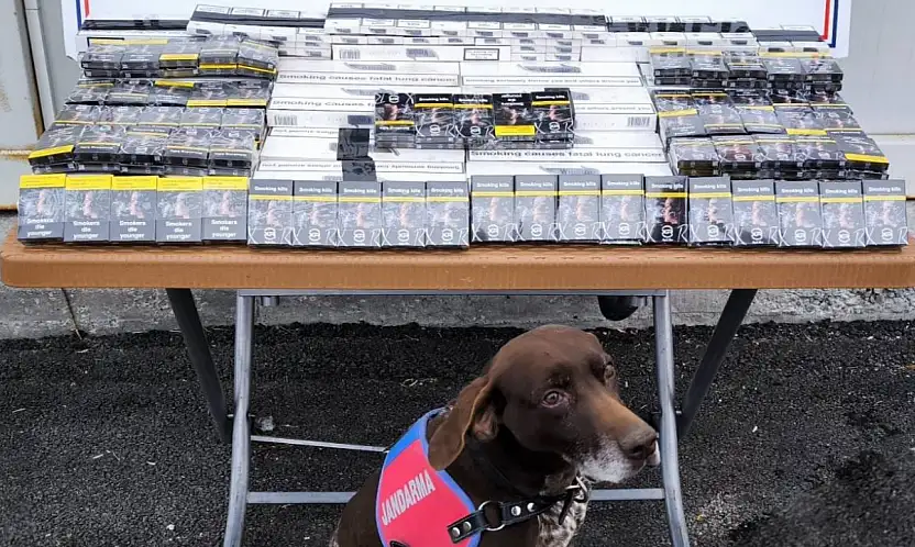 Kayseri'de kaçakçılığa geçit yok