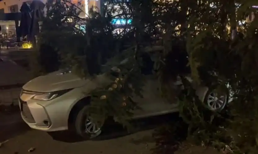 Kayseri'de şiddetli rüzgar ağacı otomobilin üzerine devirdi