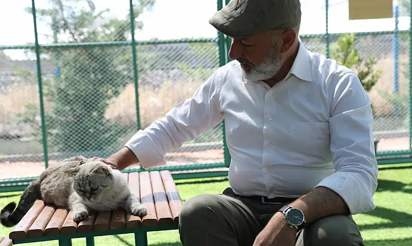 Kedi Kasabası ziyaretçi rekoru kırdı